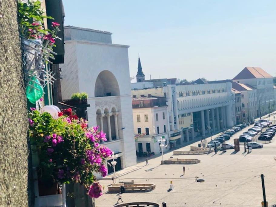 Joy City Stay Republicii 19 Timişoara Buitenkant foto